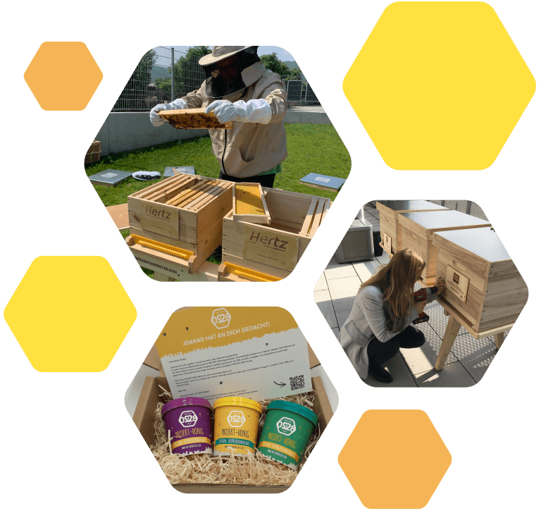 Firmenbienen mieten – Bienenvölker auf Ihrem Firmengelände mit PROJEKT 2028
