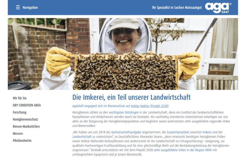 Rund-um-Information über Website